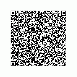 vCard 78793366313
