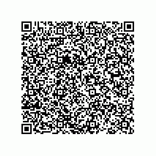vCard 78793366381