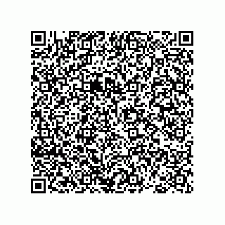 vCard 78793366382