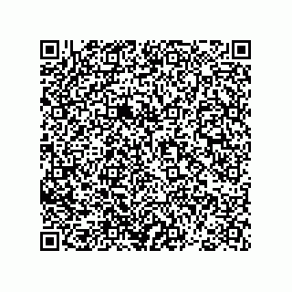 vCard 78793366384