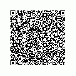 vCard 78793366629