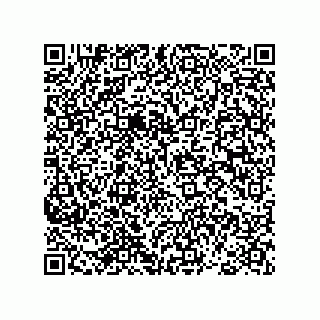 vCard 78793366724