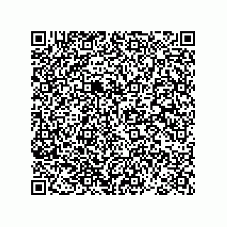 vCard 78793366737