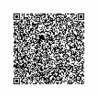vCard 78793366809