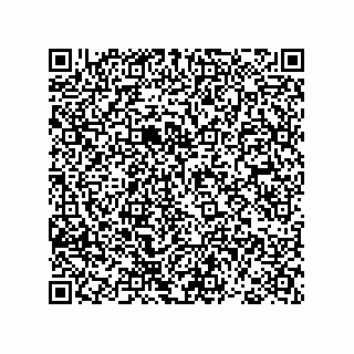 vCard 78793366811
