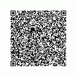 vCard 78793369073