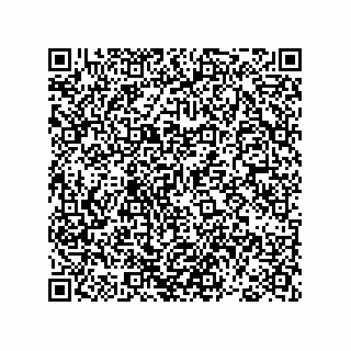 vCard 78793439011