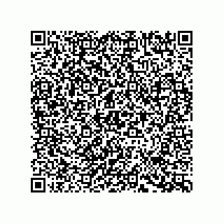 vCard 78793439168