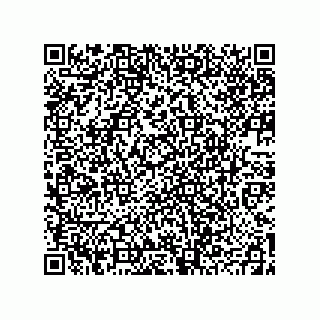 vCard 78793439181