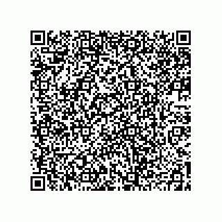 vCard 78793439210