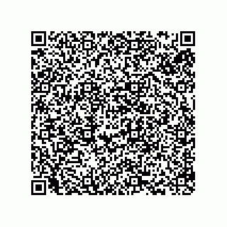 vCard 78793439296
