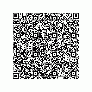 vCard 78793439331