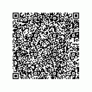 vCard 78793439360
