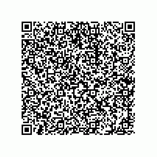 vCard 78793439374