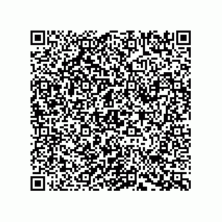 vCard 78793451584
