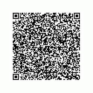 vCard 78793451747
