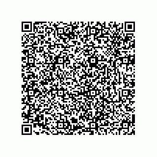 vCard 78793795300