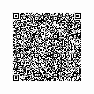 vCard 78793795304