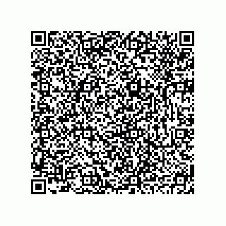 vCard 78793795311