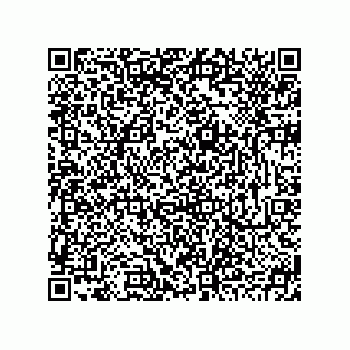 vCard 78793795321