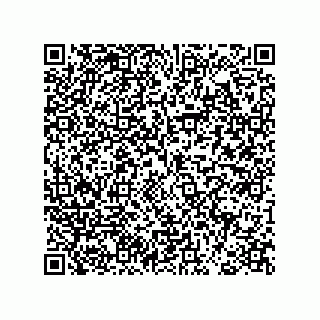 vCard 78793795330