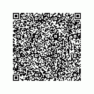 vCard 78793795331