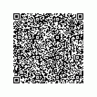 vCard 78793795333