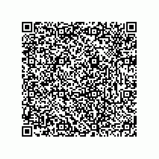 vCard 78793795334