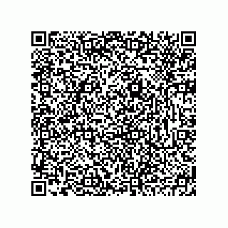vCard 78793795335