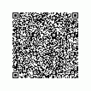 vCard 78793795341