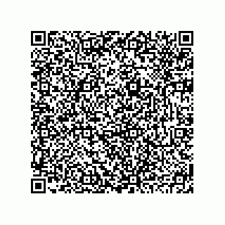 vCard 78793795380