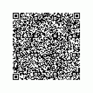 vCard 78793795381