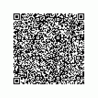 vCard 78793795401