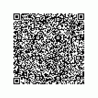 vCard 78793795403