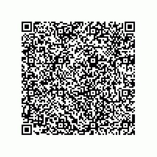 vCard 78793795408