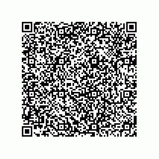 vCard 78793795409
