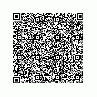 vCard 78793795411