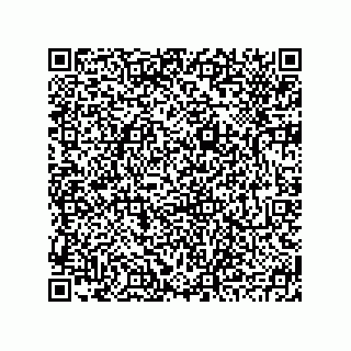 vCard 78793795481