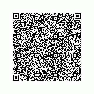 vCard 78793795500