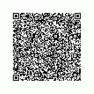 vCard 78793795502