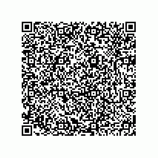 vCard 78793795503