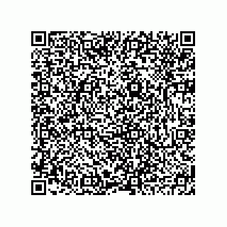 vCard 78793795513