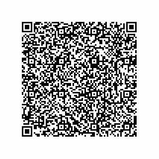 vCard 78793795521