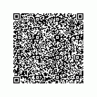 vCard 78793795529