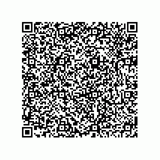 vCard 78793795581