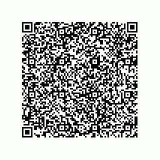 vCard 78793795584