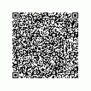 vCard 78793833179