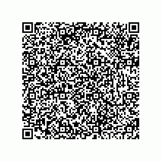 vCard 78793833181
