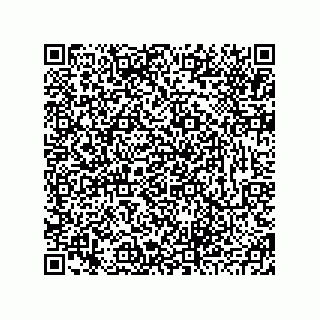 vCard 78793833195