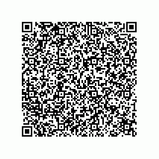 vCard 78793833264
